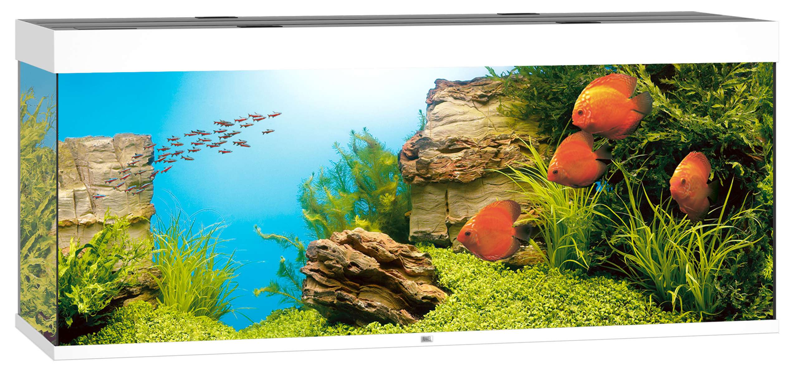 Juwel Aquarium Rio 450 LED – Bild 4