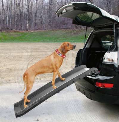 Autozubehör für den Hund