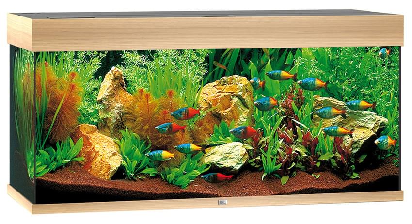 Juwel Aquarium Rio 180 LED