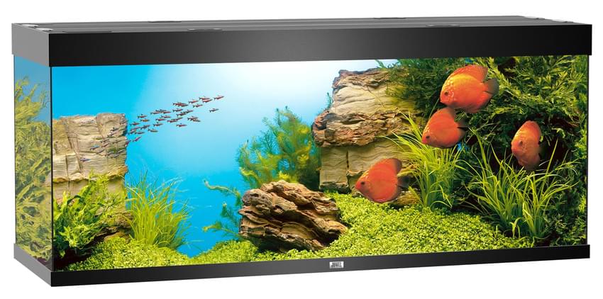 Juwel Aquarium Rio 450 LED – Bild 3