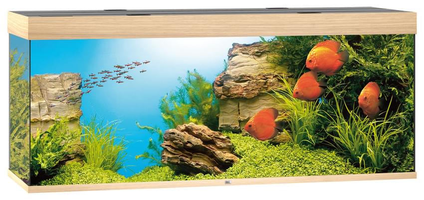 Juwel Aquarium Rio 450 LED