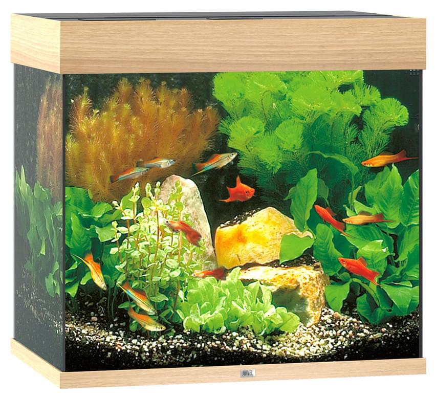 Juwel Aquarium Lido 120 LED – Bild 2