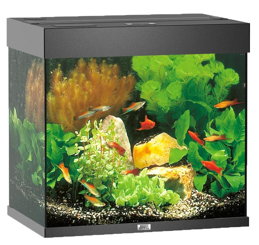 Juwel Aquarium Lido 120 LED – Bild 3