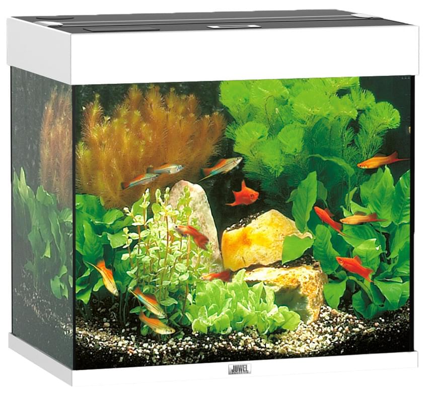 Juwel Aquarium Lido 120 LED – Bild 5