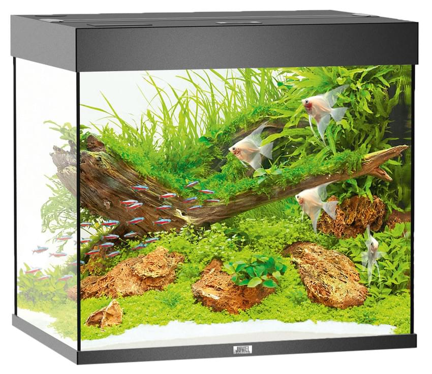 Juwel Aquarium Lido 200 LED – Bild 4