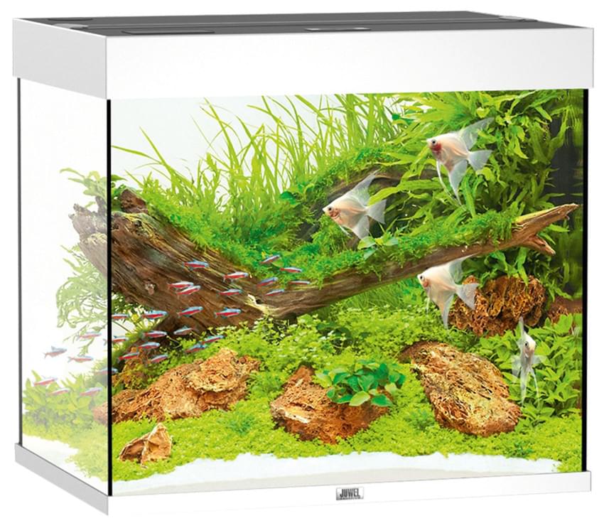 Juwel Aquarium Lido 200 LED – Bild 3