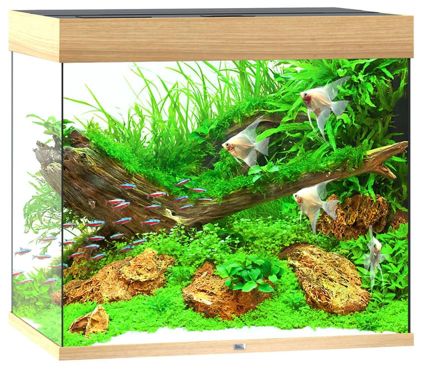 Juwel Aquarium Lido 200 LED – Bild 5