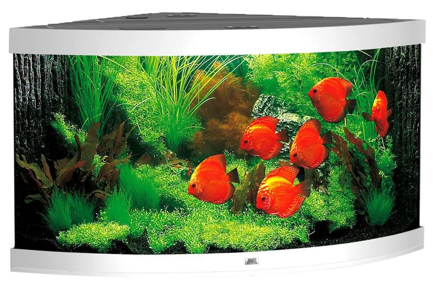 Juwel Eck-Aquarium Trigon 350 LED