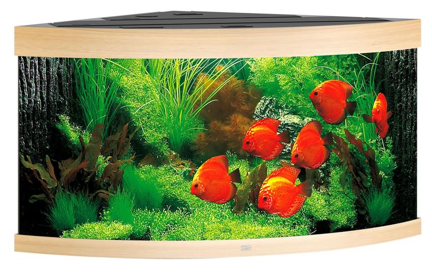 Juwel Eck-Aquarium Trigon 350 LED – Bild 2