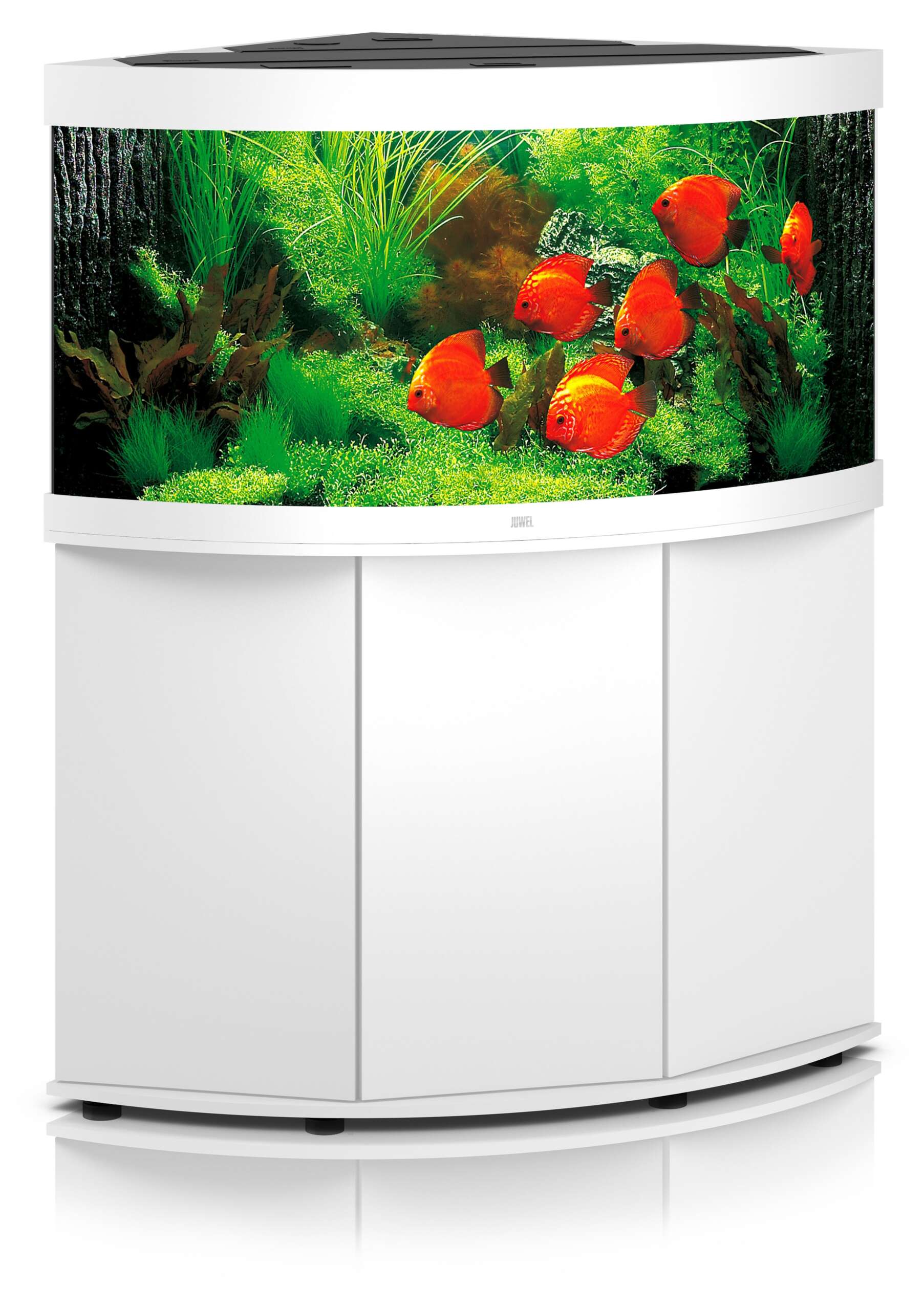 Juwel Eck-Aquarium Trigon 350 LED – Bild 6