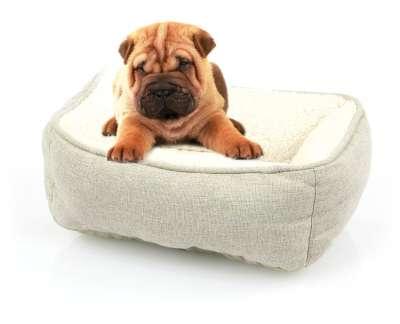 Swisspet Hunde- und Katzenbett Romeo