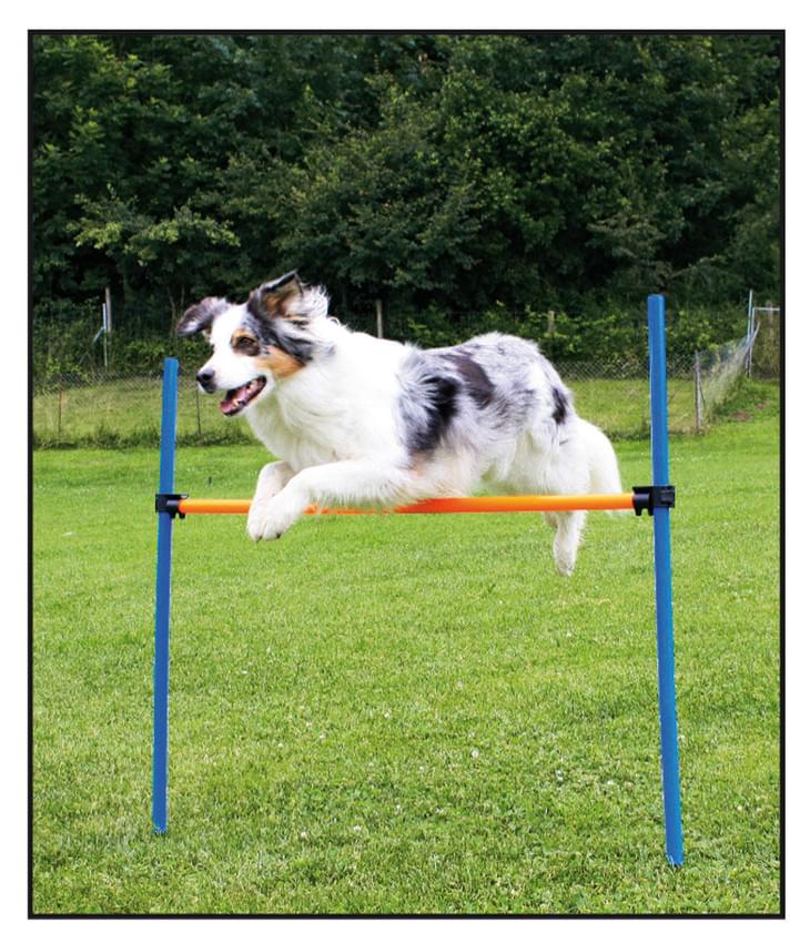 Swisspet Agility Hürden-Set inkl. 1 Stab à 110cm & 2 Stäbe à 100cm