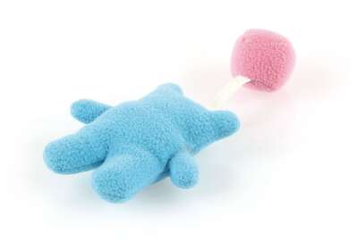 Swisspet Puppy-Spielzeug Welpen Play Bär 25cm