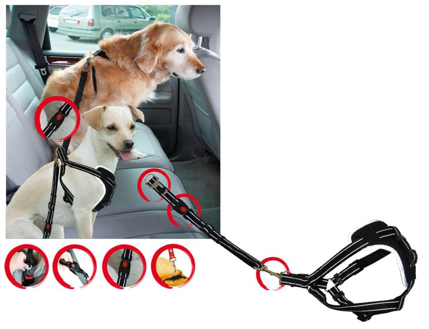 Swisspet Sicherheitsgeschirr DogSafe M / L / XL schwarz