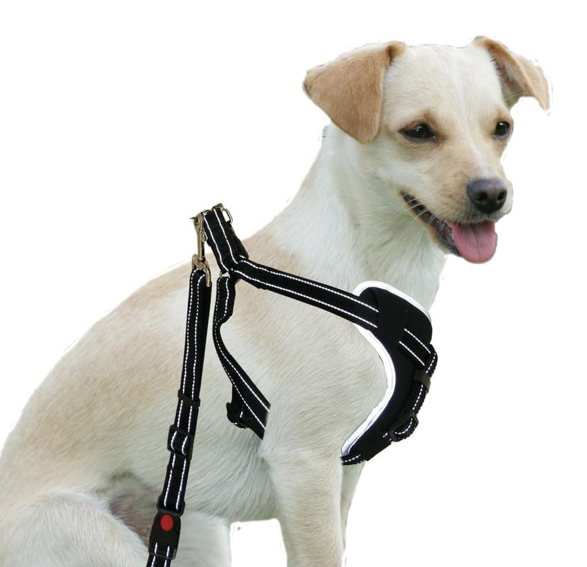 Swisspet Sicherheitsgeschirr DogSafe M / L / XL schwarz – Bild 2