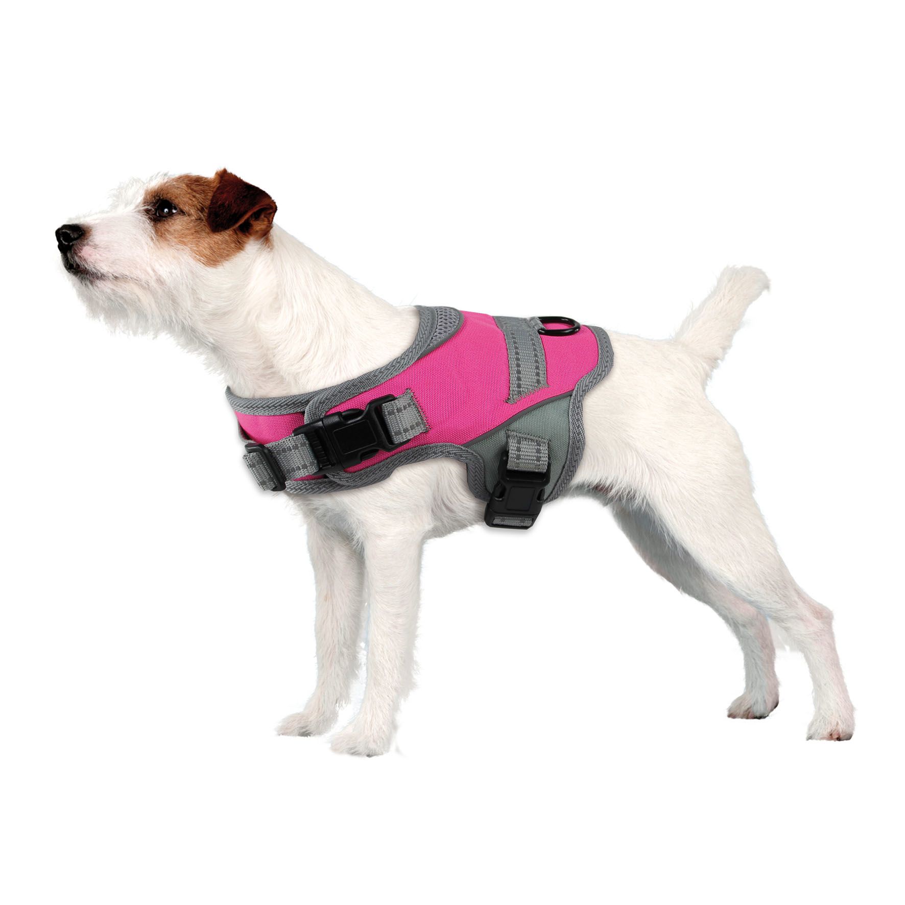 Swisspet Geschirr Onyx pink reflektierend – Bild 2
