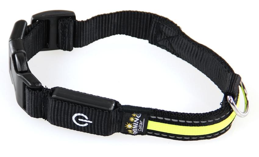 Swisspet Leuchthalsband & -Leine Fluo gelb S / L