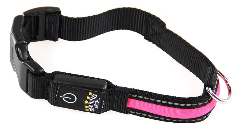 Swisspet Leuchthalsband & - Leine Fluo pink S / M / L