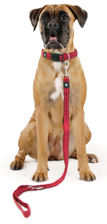 Swisspet SportLine Halsband & Führleine rot – Bild 4