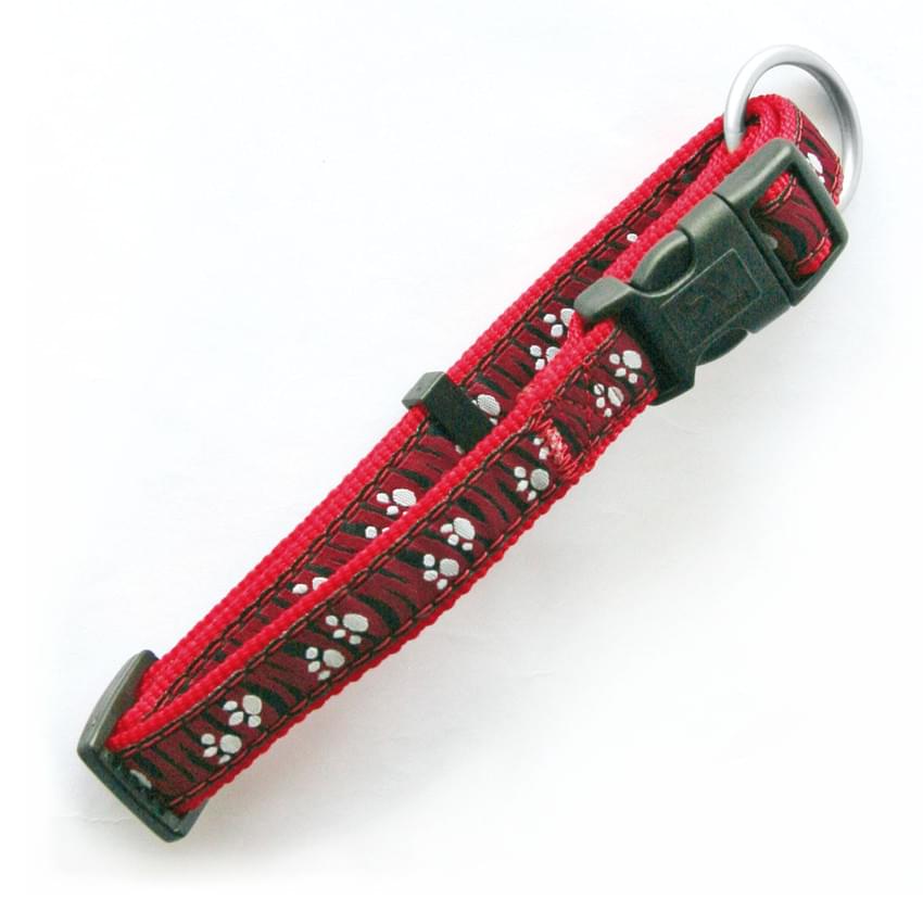 Swisspet DoggyLine Halsband & Führleine rot – Bild 2