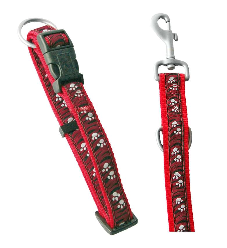 Swisspet DoggyLine Halsband & Führleine rot