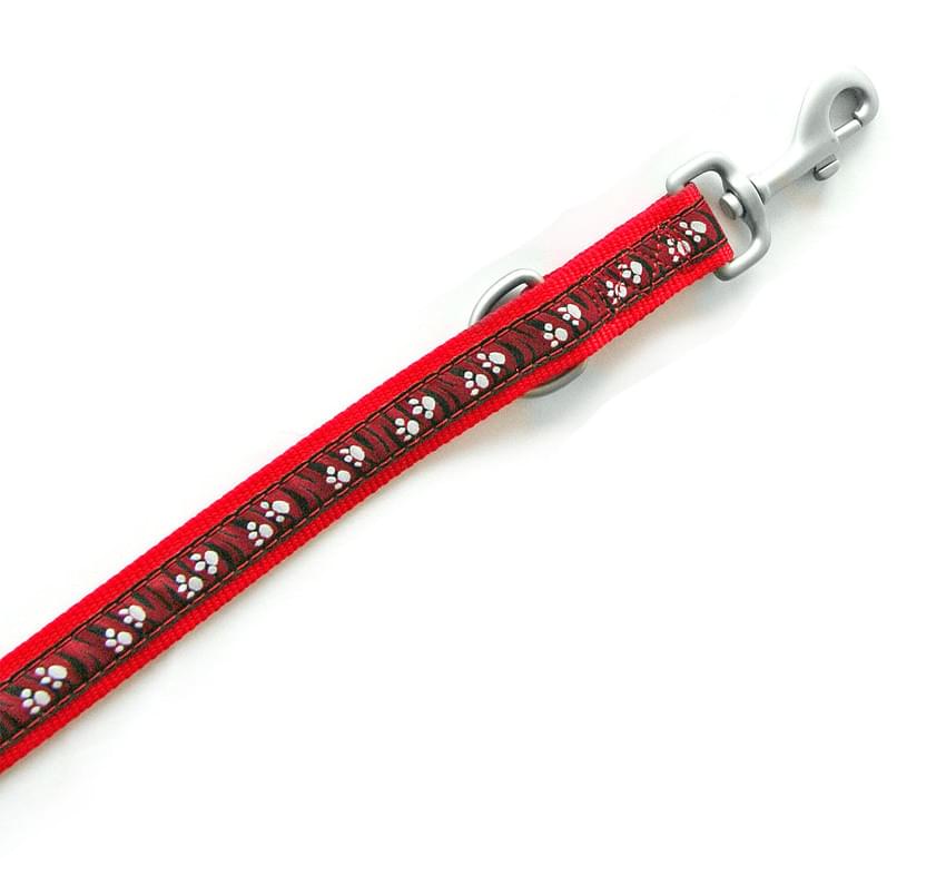 Swisspet DoggyLine Halsband & Führleine rot – Bild 3