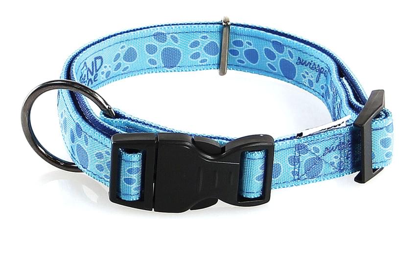 TrendLine Halsband & Führleine Pfoty blau – Bild 2