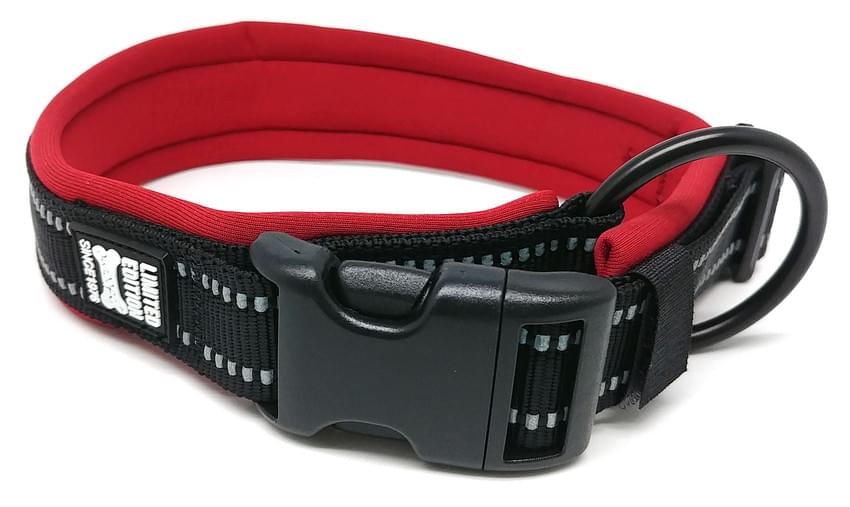 Swisspet Halsband & Führleine Prime schwarz XS / M / XL – Bild 3