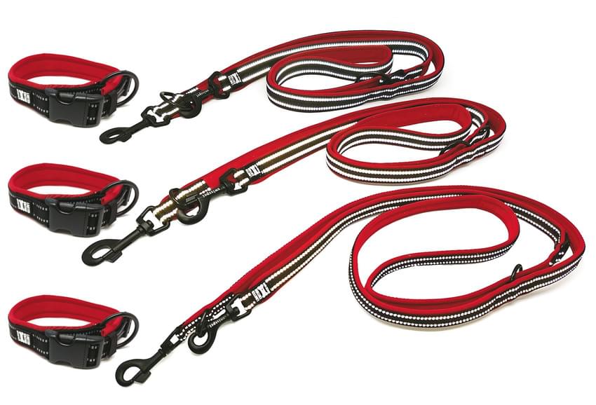 Swisspet Halsband & Führleine Prime schwarz XS / M / XL