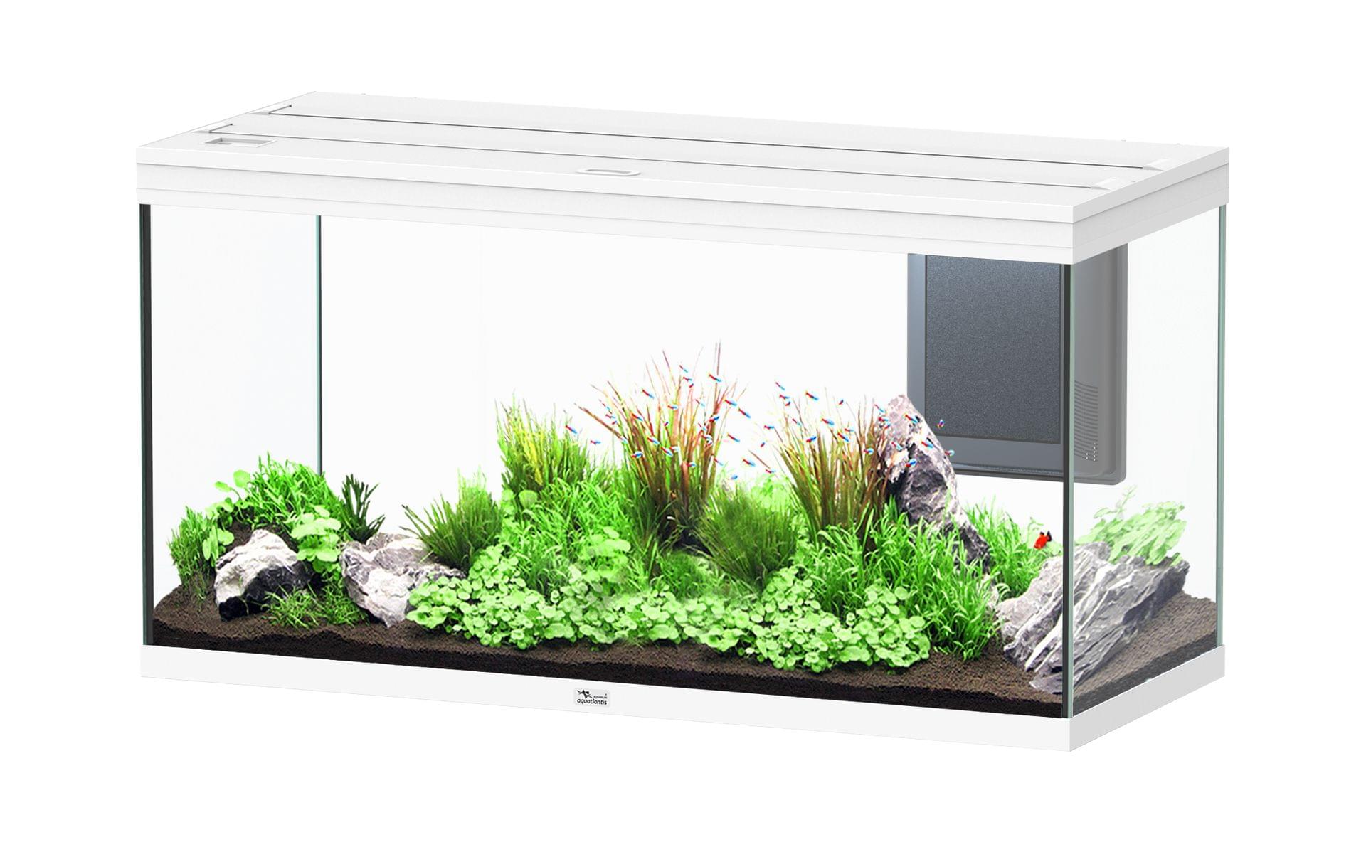 Aquatlantis Aquarium Volga 350 – Bild 2