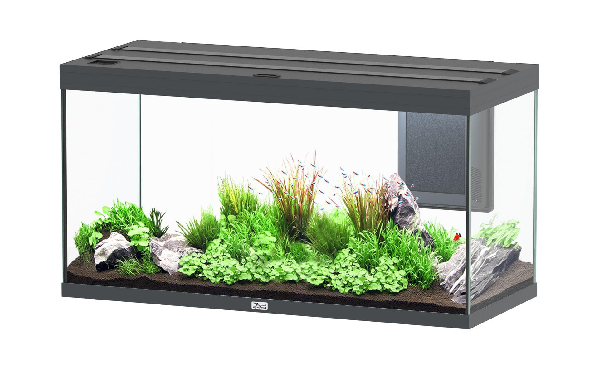 Aquatlantis Aquarium Volga 350