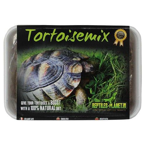 Reptiles-Planet Tortoisemix