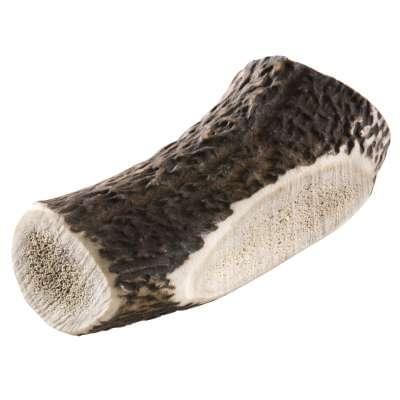 Chewies Rothirsch-Geweihstange L