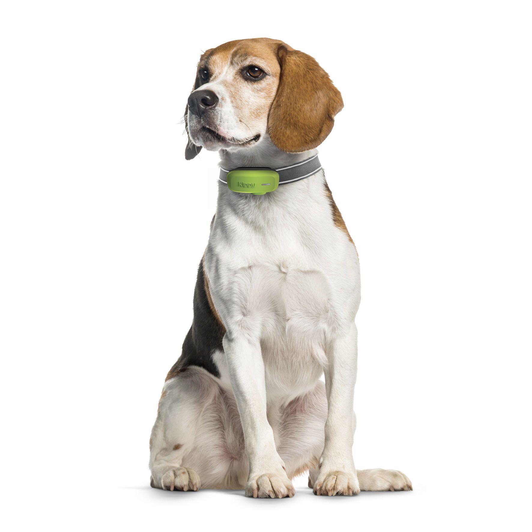 Kippy Dog GPS - grün C, 29.6g – Bild 2