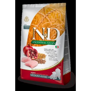 Farmina N&D Prime Puppy Medium/Maxi Huhn & Granatapfel 12 kg